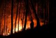 Portugal : de nombreux incendies frappent le pays avec 3 000 hectares déjà ravagés