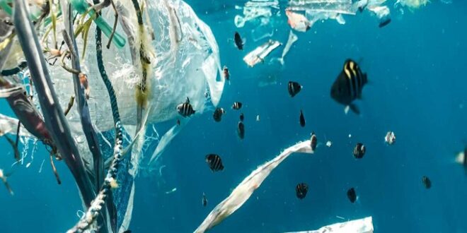 Pollution plastique : début des négociations pour un traité mondial