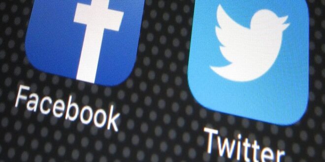 Twitter et TikTok, nouvelles arènes de divulgations politiques et terreaux fertiles pour le piratage de films