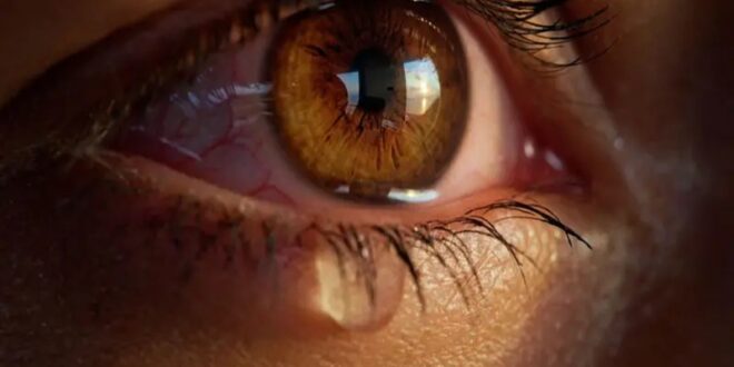 Pourquoi pleurons-nous ? La science derrière nos larmes, uniques à l&rsquo;être humain