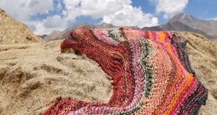 Art. Au cœur de l’Himalaya, la plus haute biennale au monde invite à une promenade écologique